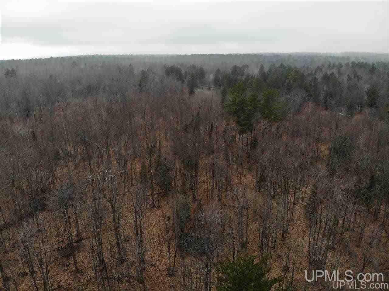 Tbd Plains Cutoff Road Baraga, MI 49908 - Photo 46 of 49
