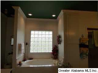 103 Hickory Ridge Road Oneonta, AL 35121 - Photo 15 of 24
