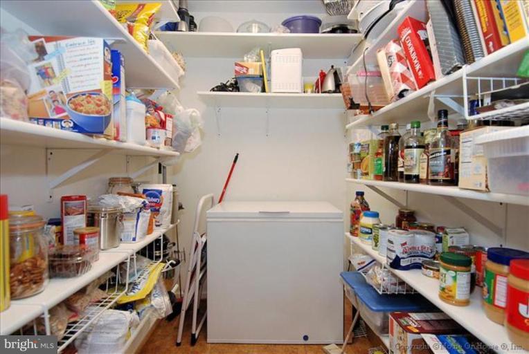 1105 Carson Street Silver Spring, MD 20901 - Photo 19 of 20 Pantry