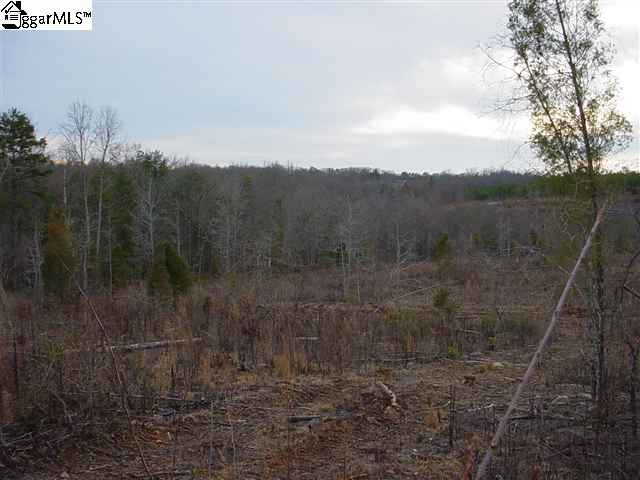 285 McCullough School Road Honea Path, SC 29654 - Photo 1 of 1