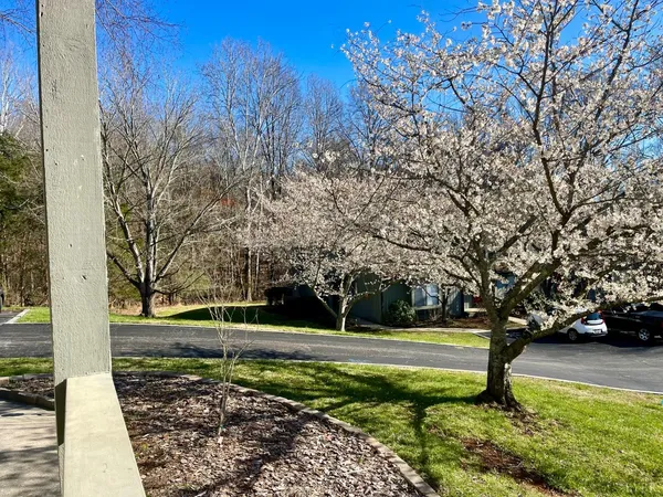 $335,000 | 154 Sunset Ridge Road, Forest, VA 24551