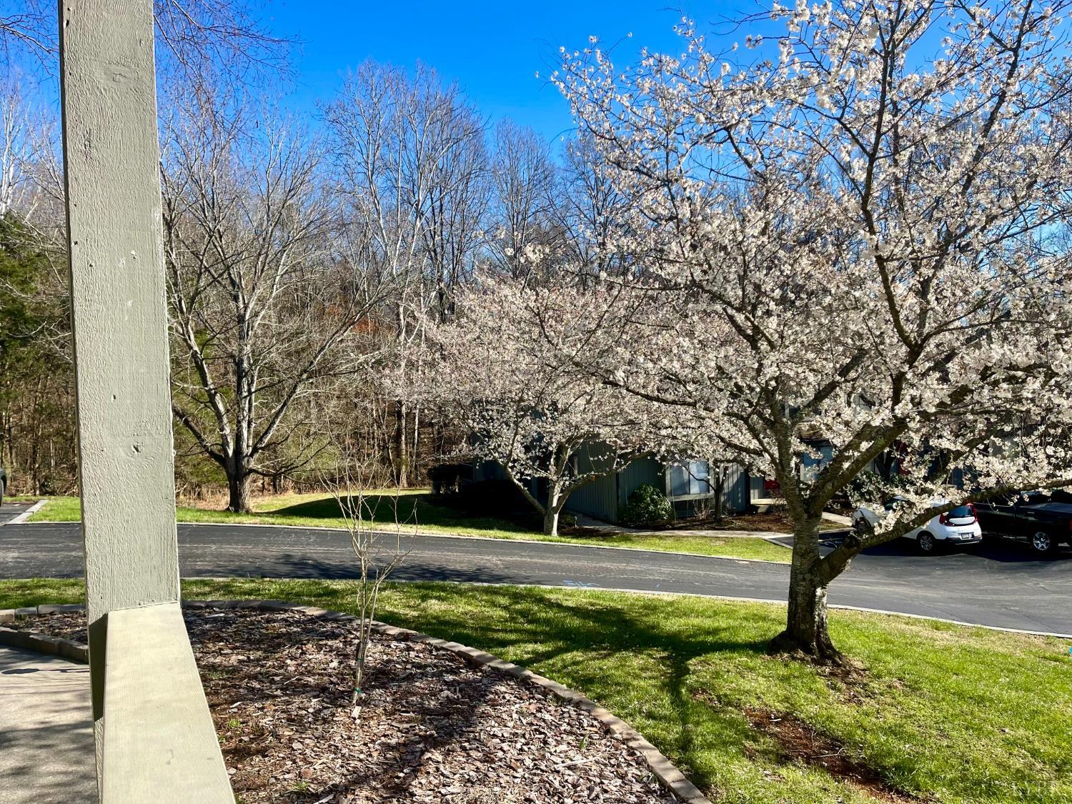 154 Sunset Ridge Road Forest, VA 24551 - Photo 81 of 82