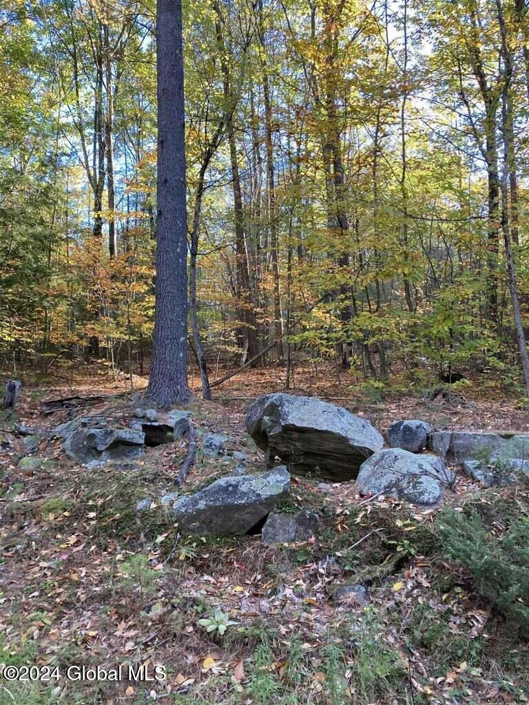 L28 Hall Hill Road Lake Luzerne, NY 12846 - Photo 2 of 6 hall hill 2