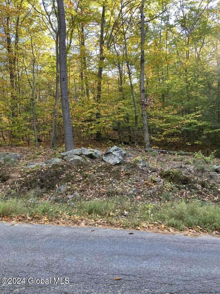 L28 Hall Hill Road Lake Luzerne, NY 12846 - Photo 3 of 6 hall hill 3