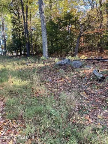 $150,000 | L28 Hall Hill Road, Lake Luzerne, NY 12846