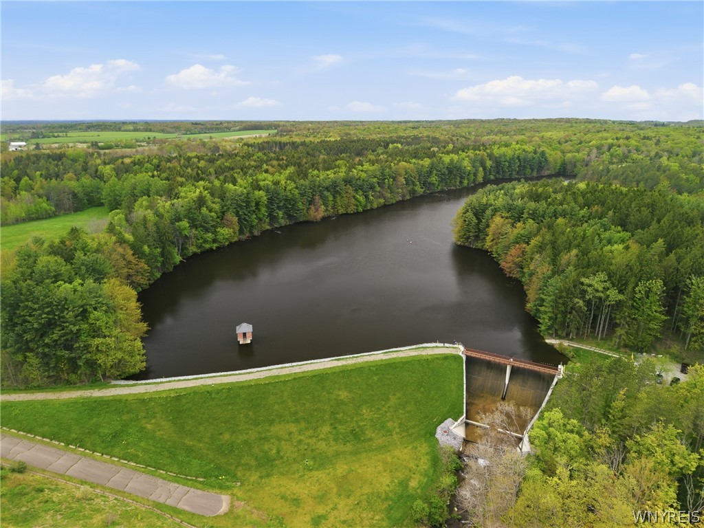 0 Genesee Road Lawtons, NY 14091 - Photo 17 of 34