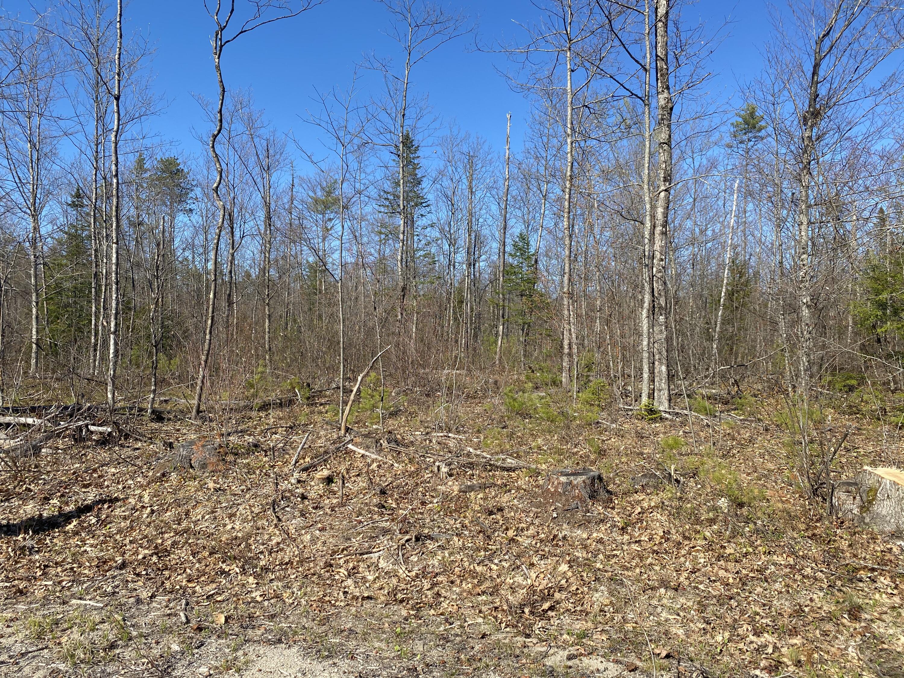 Lot 3 Sand Pond Road East Baldwin, ME 04024 - Photo 10 of 13 9B01C700-EA19-4005-892E-DAF27A0A16DB