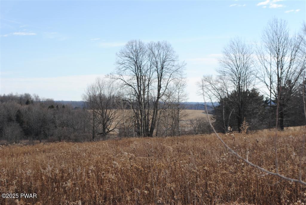 296 North Rt Pleasant Mount, PA 18453 - Photo 4 of 4 Views of the Countryside