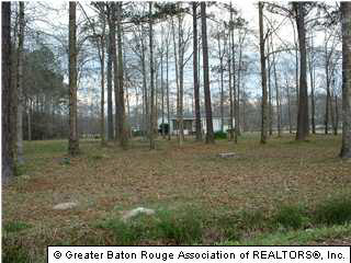 26460 Bobby Gill Road Denham Springs, LA 70726 - Photo 1 of 1 Gallery Image 1