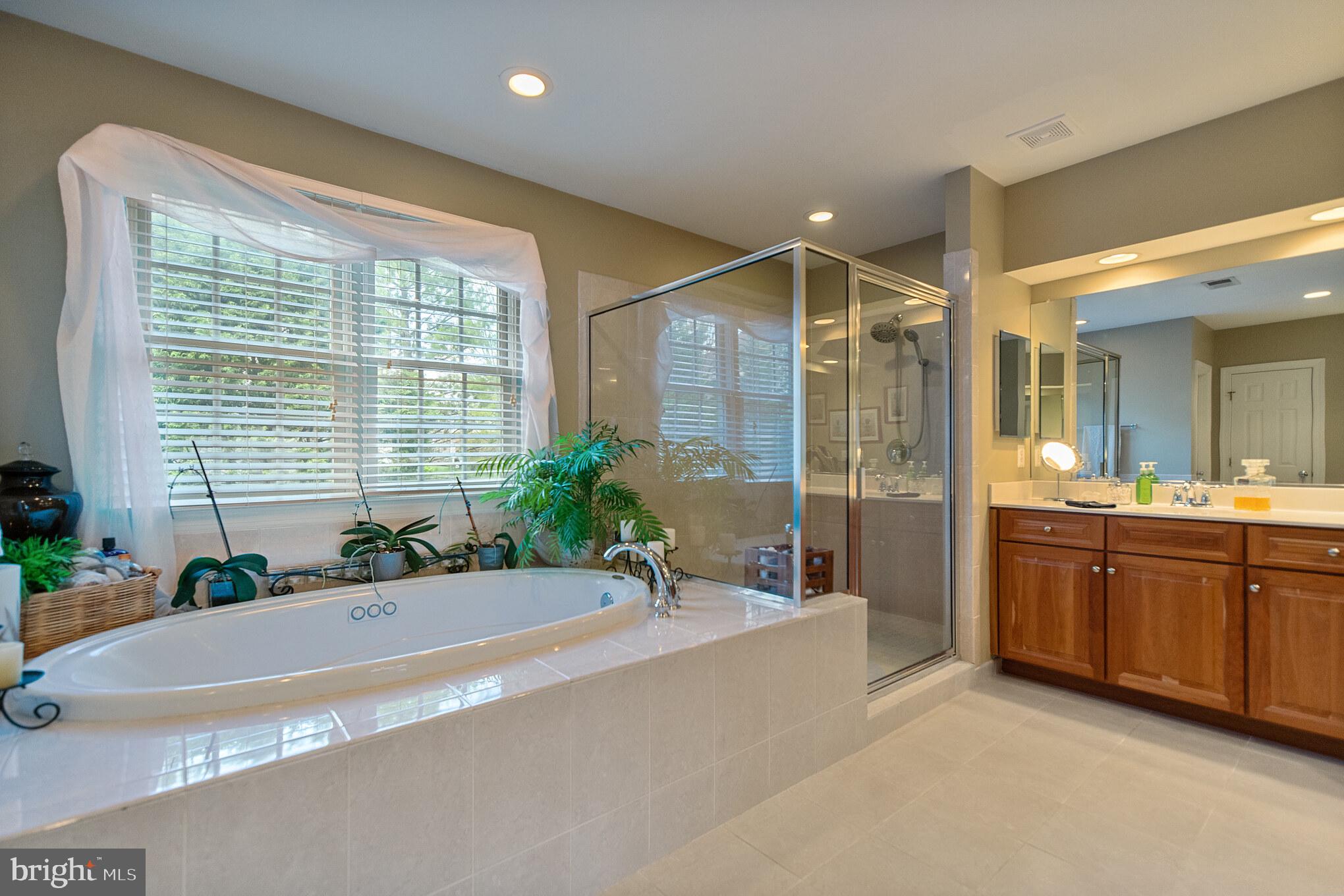 8347 Roxborough Loop Gainesville, VA 20155 - Photo 26 of 52 Jetted tub