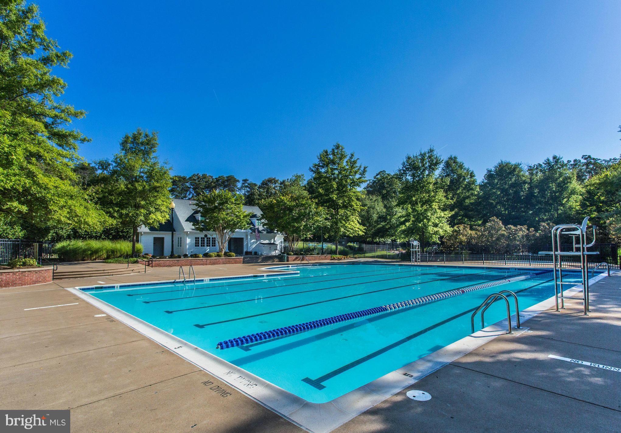 8347 Roxborough Loop Gainesville, VA 20155 - Photo 46 of 52 Outdoor pool