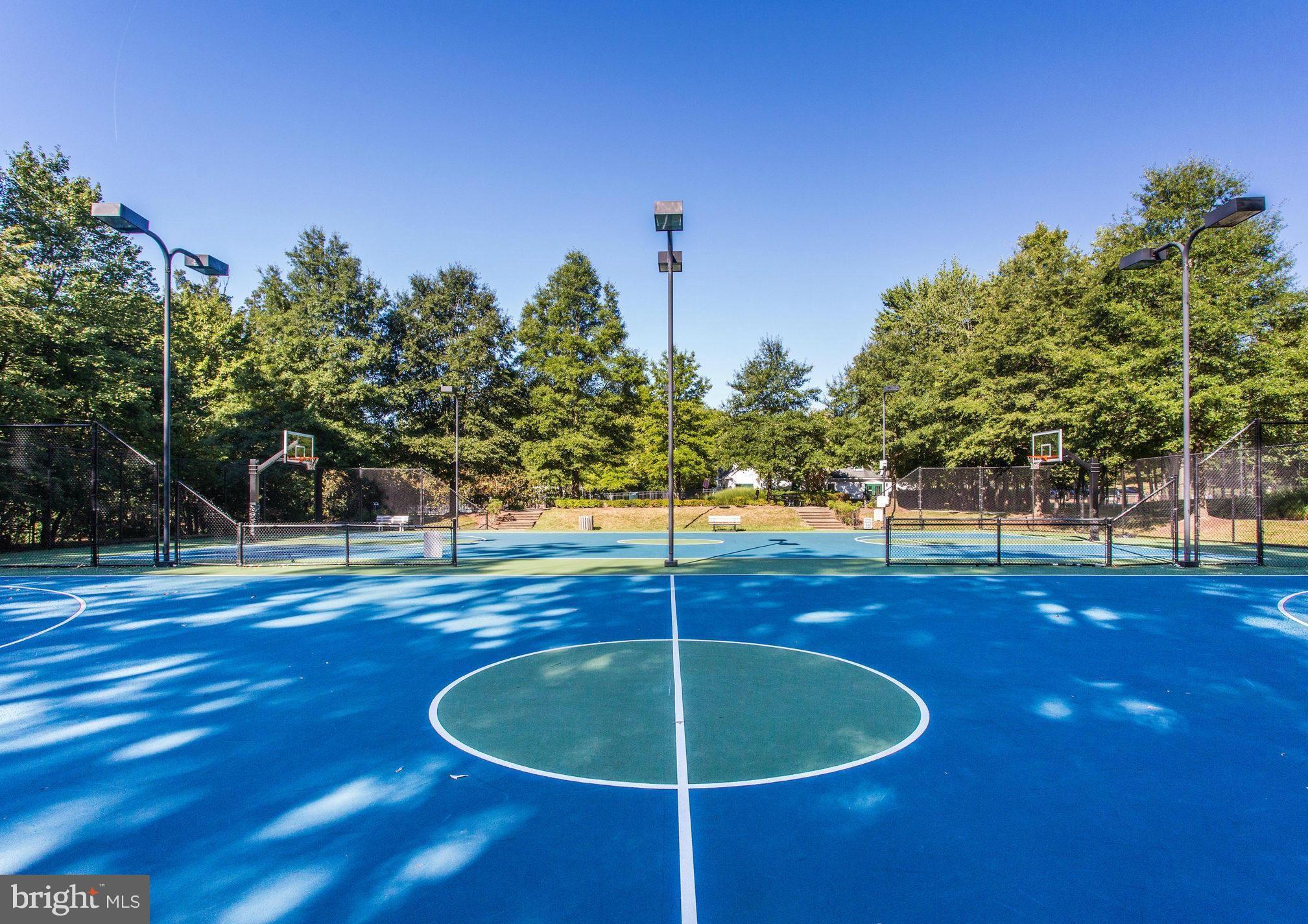 8347 Roxborough Loop Gainesville, VA 20155 - Photo 49 of 52 Lighted Basketball courts