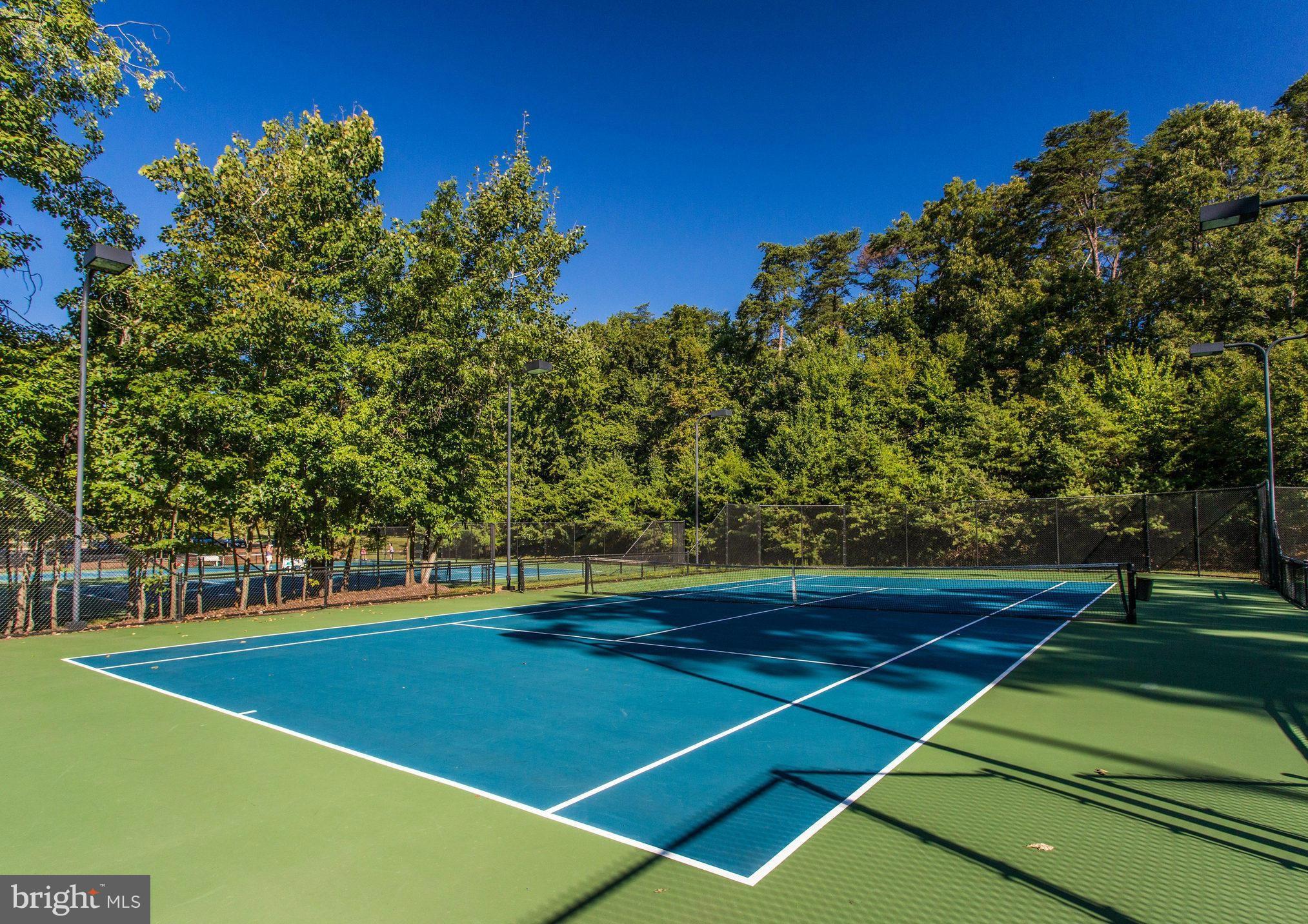 8347 Roxborough Loop Gainesville, VA 20155 - Photo 51 of 52 Lighted Tennis courts