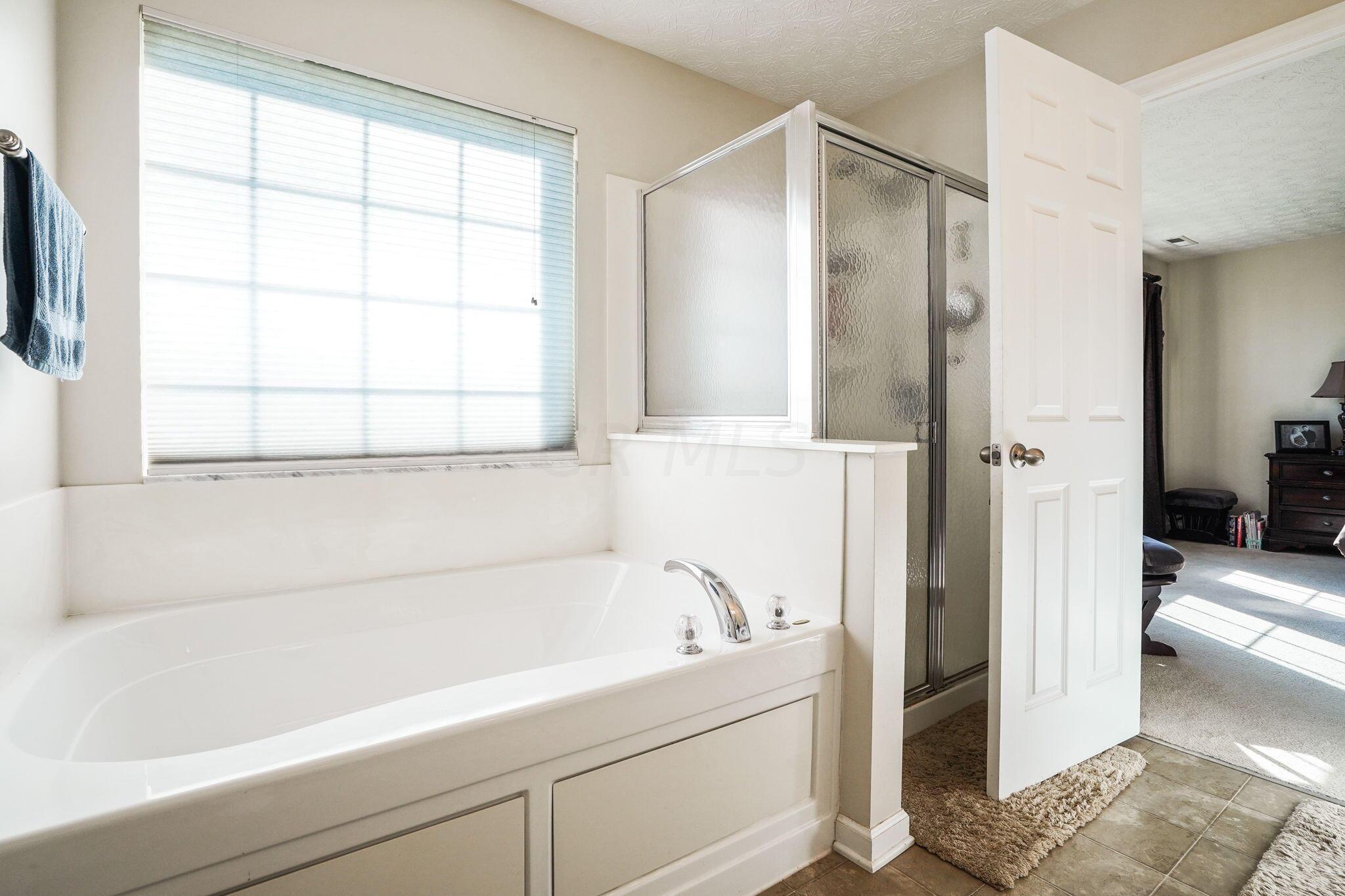 117 Stockard Loop Delaware, OH 43015 - Photo 40 of 50