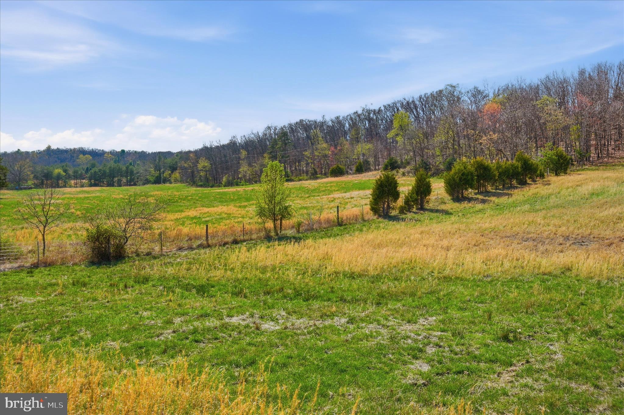 Light Road Winchester, VA 22603 - Photo 22 of 79 Lot Area
