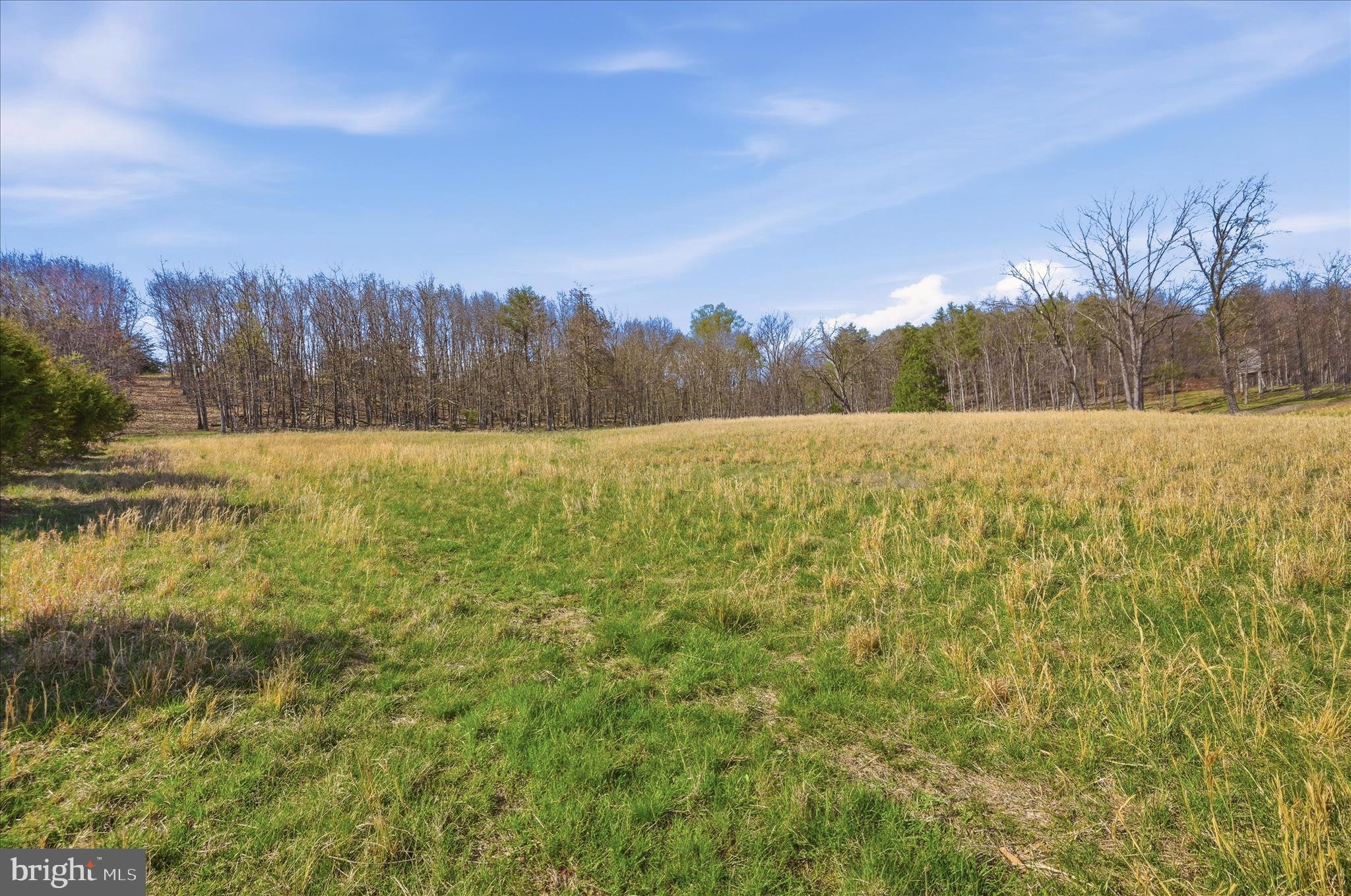 Light Road Winchester, VA 22603 - Photo 23 of 79 Lot Area