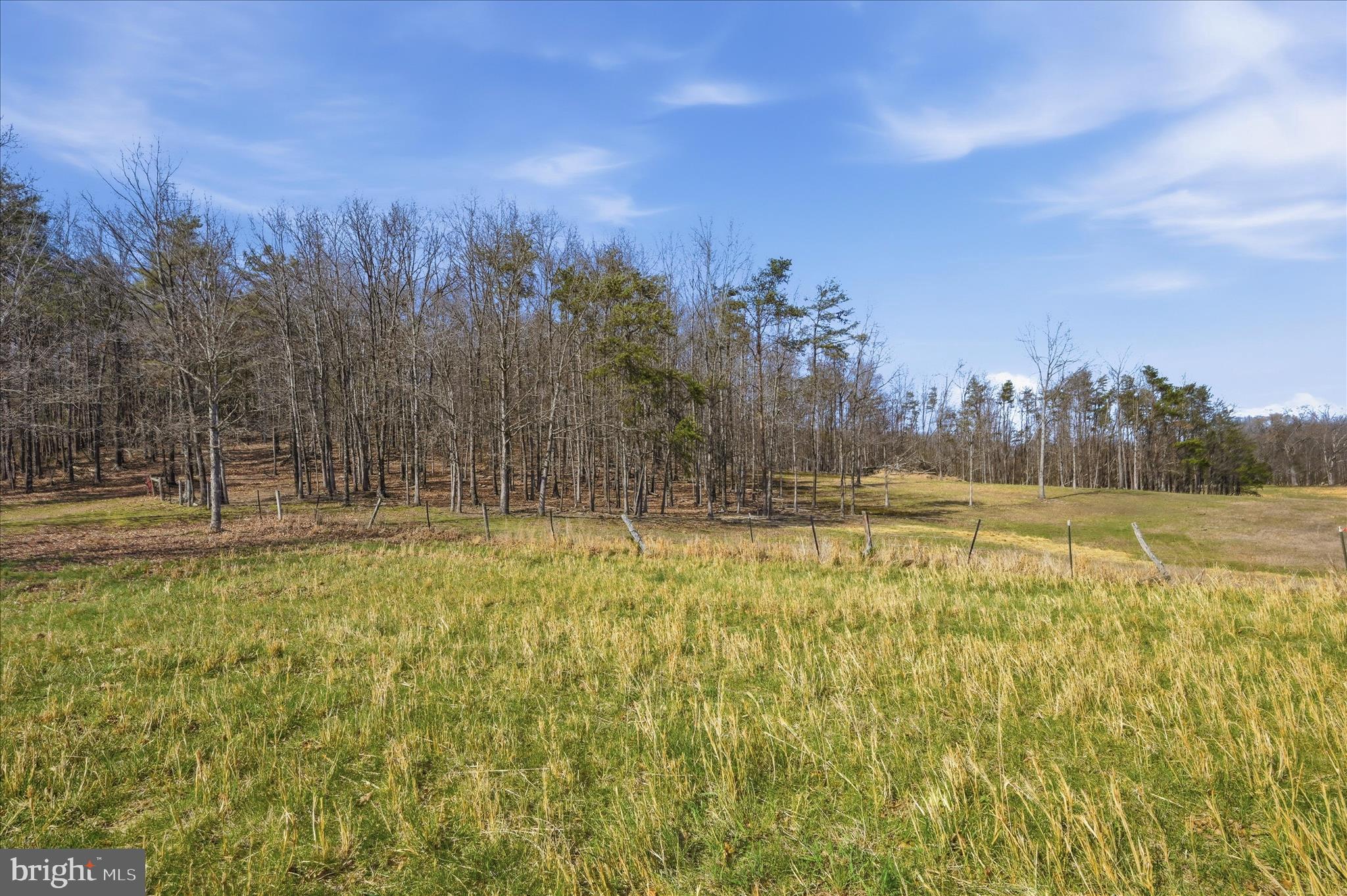 Light Road Winchester, VA 22603 - Photo 24 of 79 Lot Area