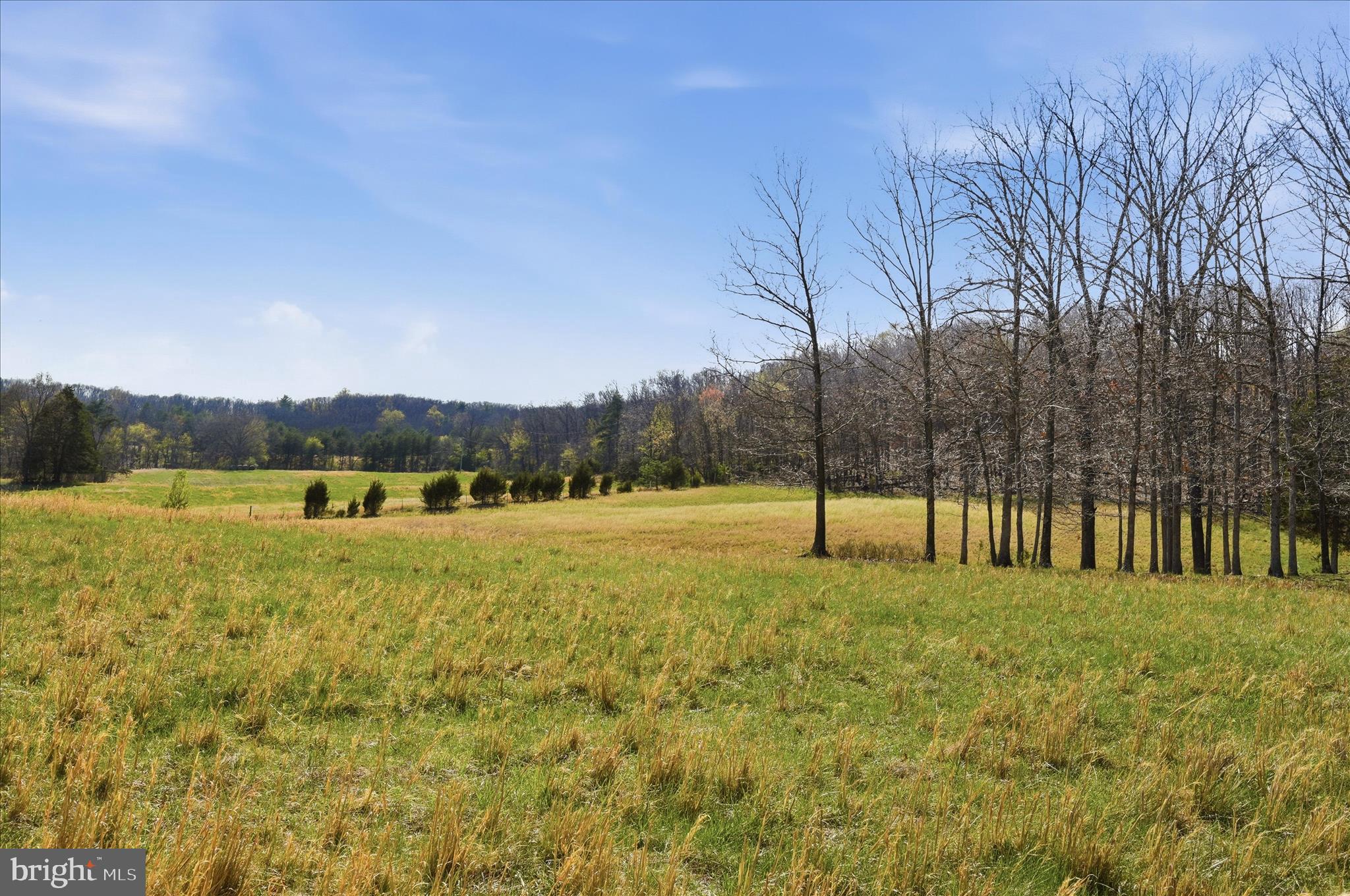 Light Road Winchester, VA 22603 - Photo 26 of 79 Lot Area