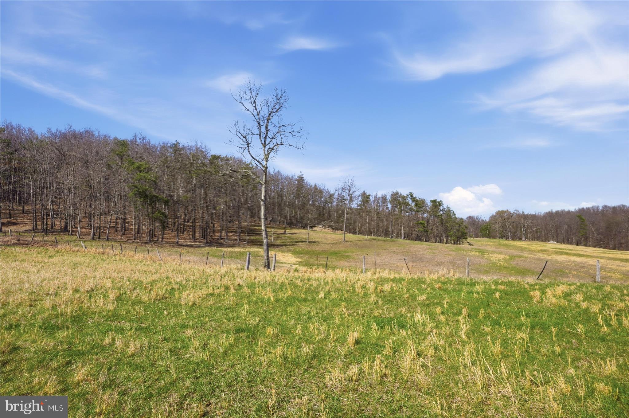 Light Road Winchester, VA 22603 - Photo 27 of 79 Lot Area
