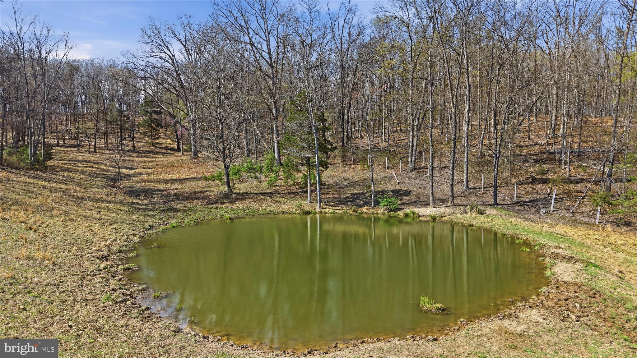 Light Road Winchester, VA 22603 - Photo 28 of 79 Lot Area