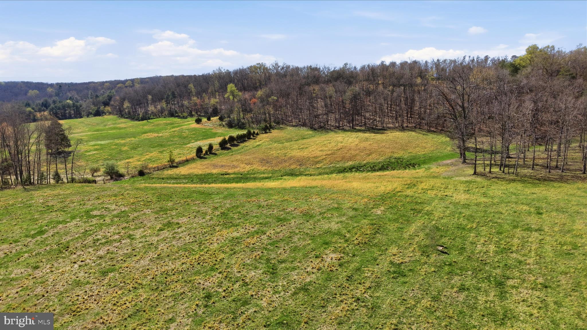 Light Road Winchester, VA 22603 - Photo 30 of 79 Lot Area