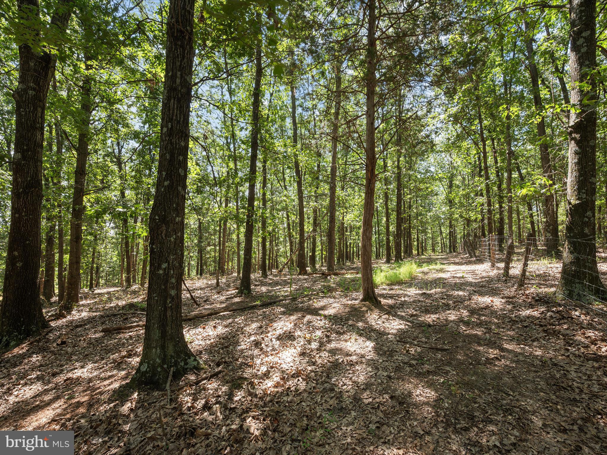 Light Road Winchester, VA 22603 - Photo 57 of 79 Lot Landscape
