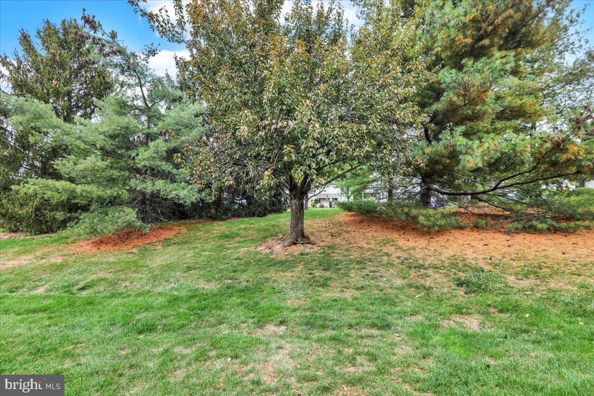 120 Laurel Court Reading, PA 19610 - Photo 19 of 21 a view of a yard with a tree