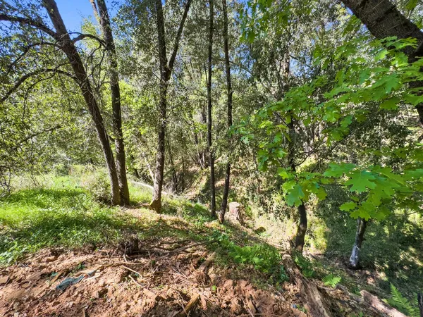 $99,900 | 22666 Lower Quail Mine Road, Sonora, CA 95370