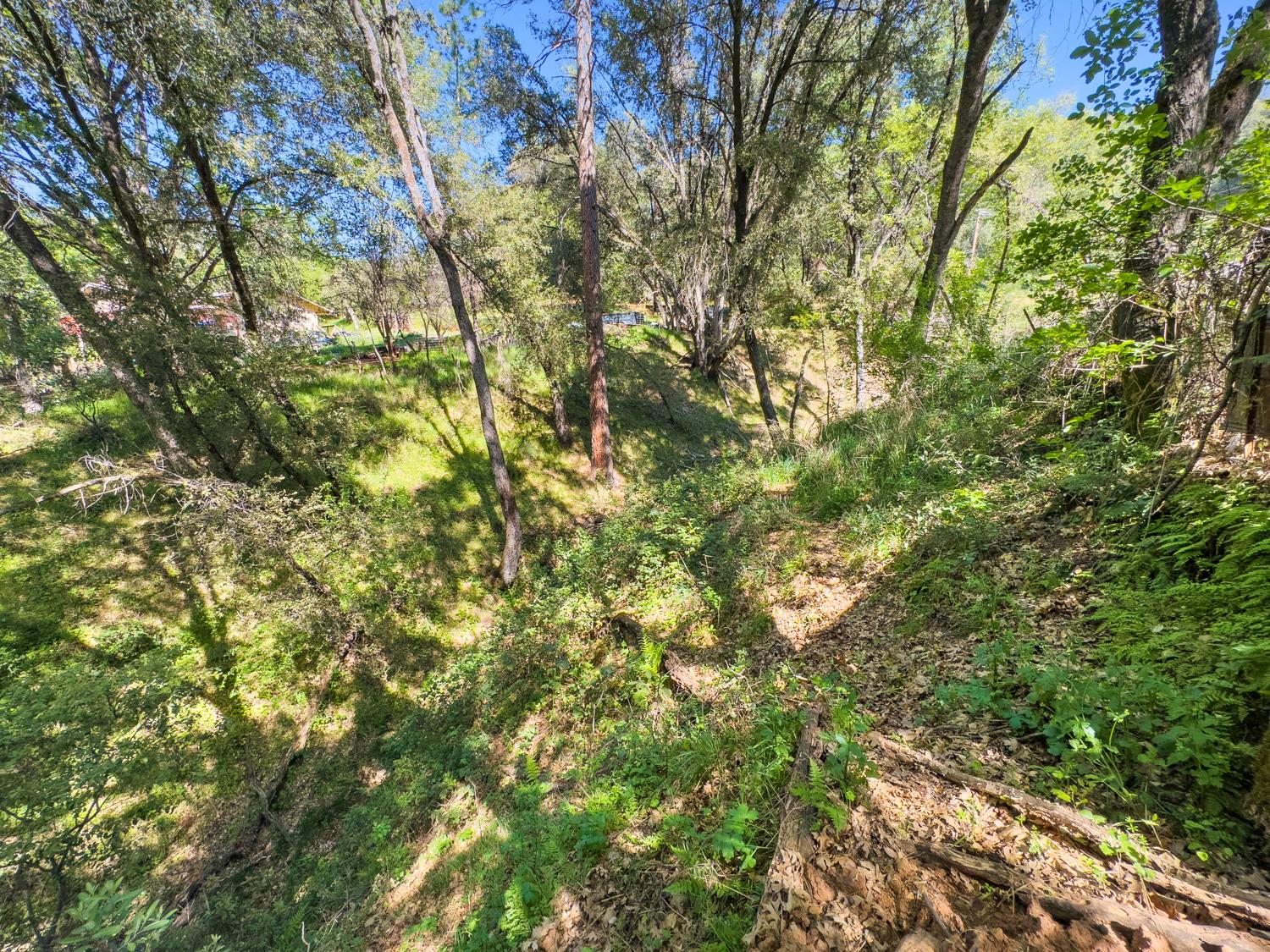 22666 Lower Quail Mine Road Sonora, CA 95370 - Photo 15 of 42