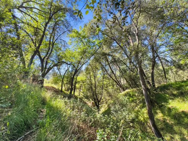 $99,900 | 22666 Lower Quail Mine Road, Sonora, CA 95370