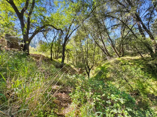 $99,900 | 22666 Lower Quail Mine Road, Sonora, CA 95370