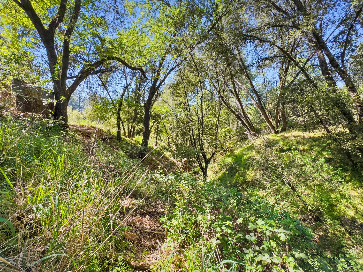 22666 Lower Quail Mine Road Sonora, CA 95370 - Photo 19 of 42