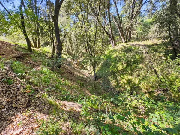 $99,900 | 22666 Lower Quail Mine Road, Sonora, CA 95370