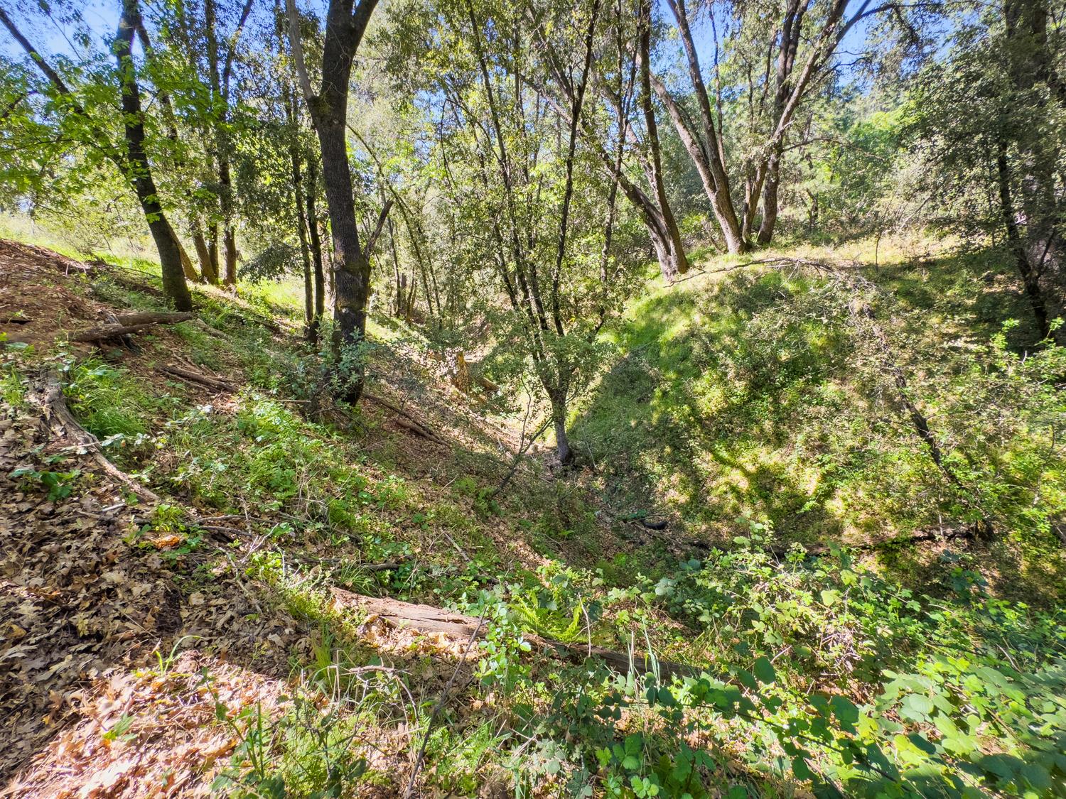 22666 Lower Quail Mine Road Sonora, CA 95370 - Photo 20 of 42