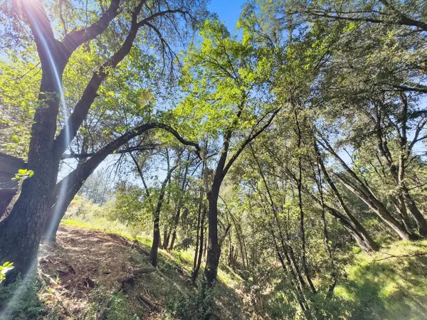 $99,900 | 22666 Lower Quail Mine Road, Sonora, CA 95370