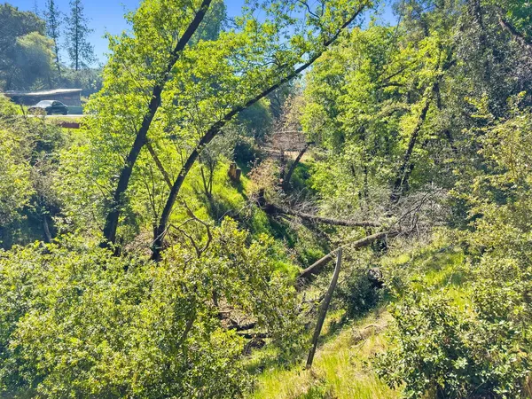 $99,900 | 22666 Lower Quail Mine Road, Sonora, CA 95370