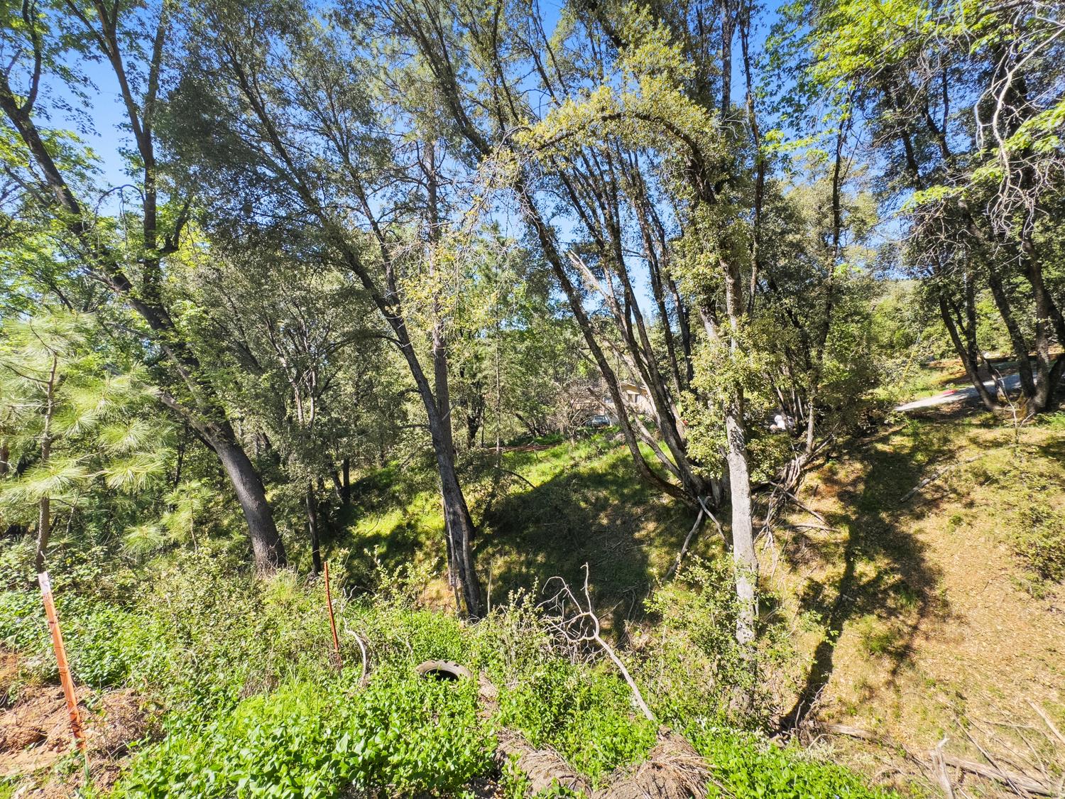 22666 Lower Quail Mine Road Sonora, CA 95370 - Photo 6 of 42