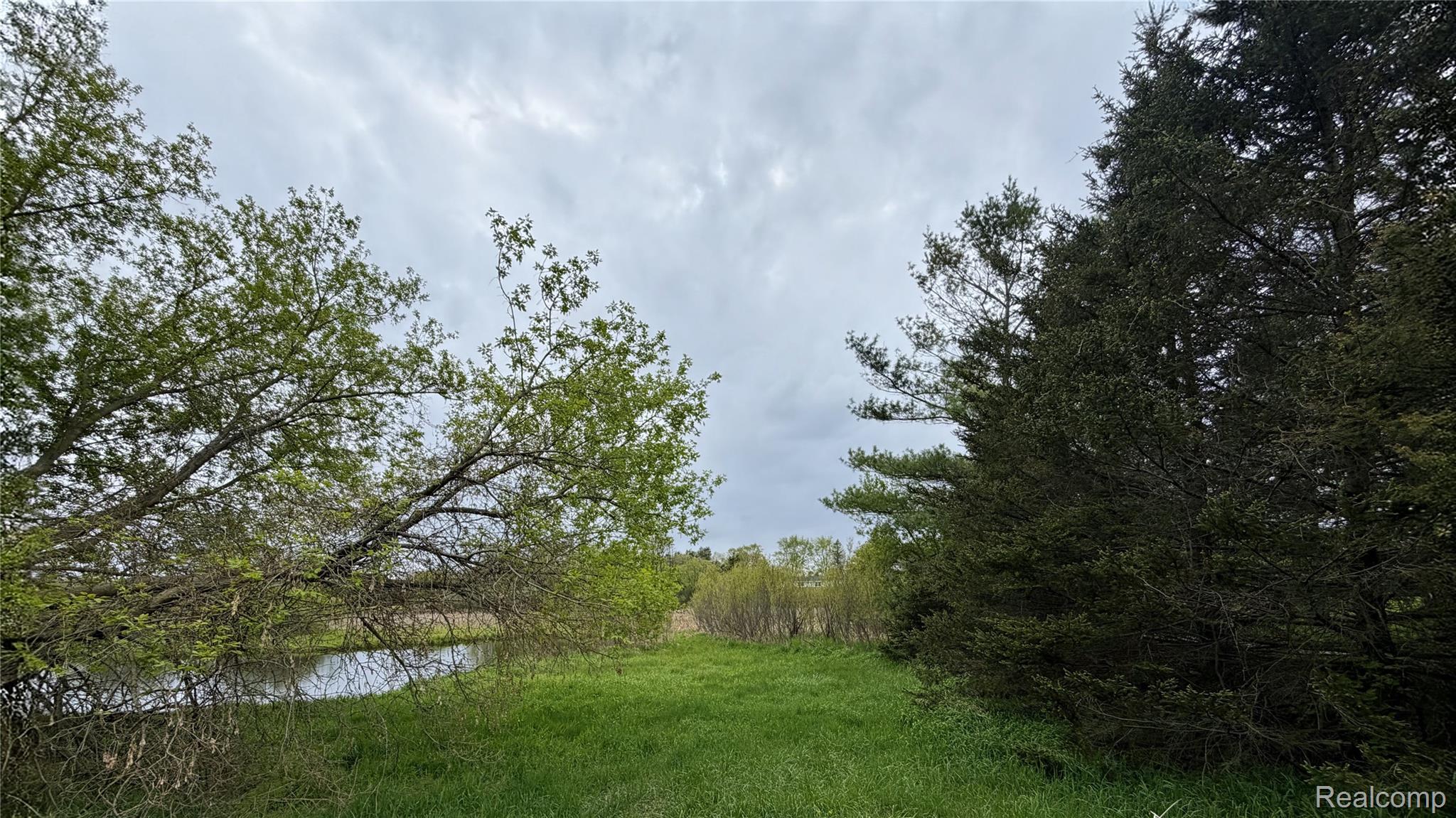 8079 Farley Road Pinckney, MI 48169 - Photo 3 of 43 View of local wilderness with a nearby body of water