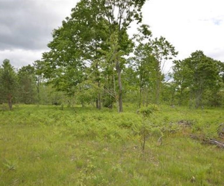 0 43 North 43 1/2 Road, Unit LOT: B Manton, MI 49663 - Photo 6 of 12