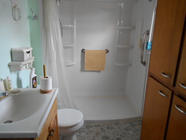 208 West Cleveland Street Spring Valley, IL 61362 - Photo 6 of 13