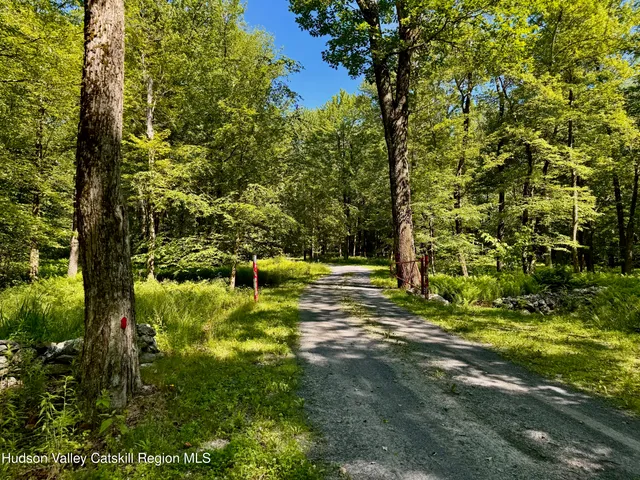 a view of a yard with plants
