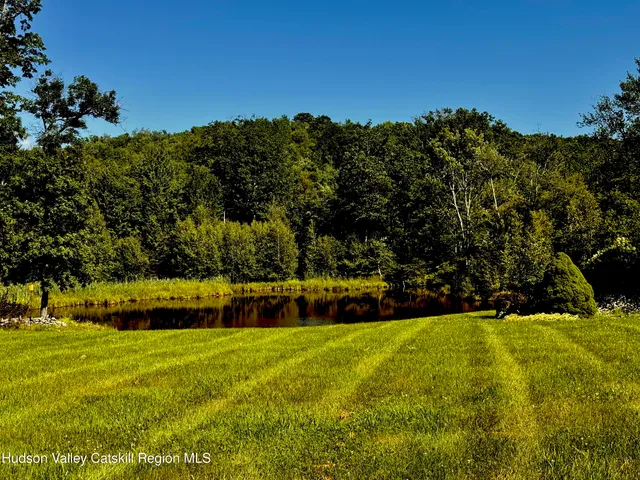 a view of yard with swimming pool and trees in the background