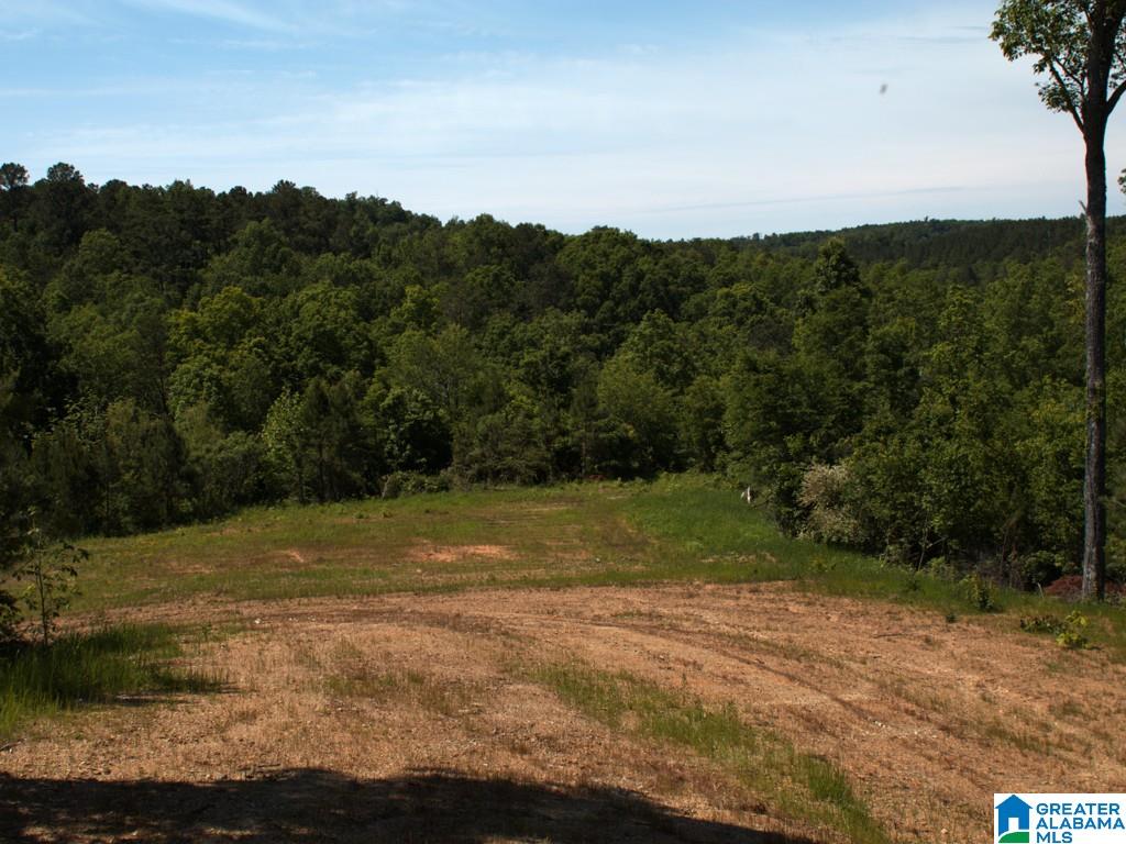 46 County Rd Creek, Unit PEWTERFORK Hanceville, AL 35077 - Photo 3 of 13
