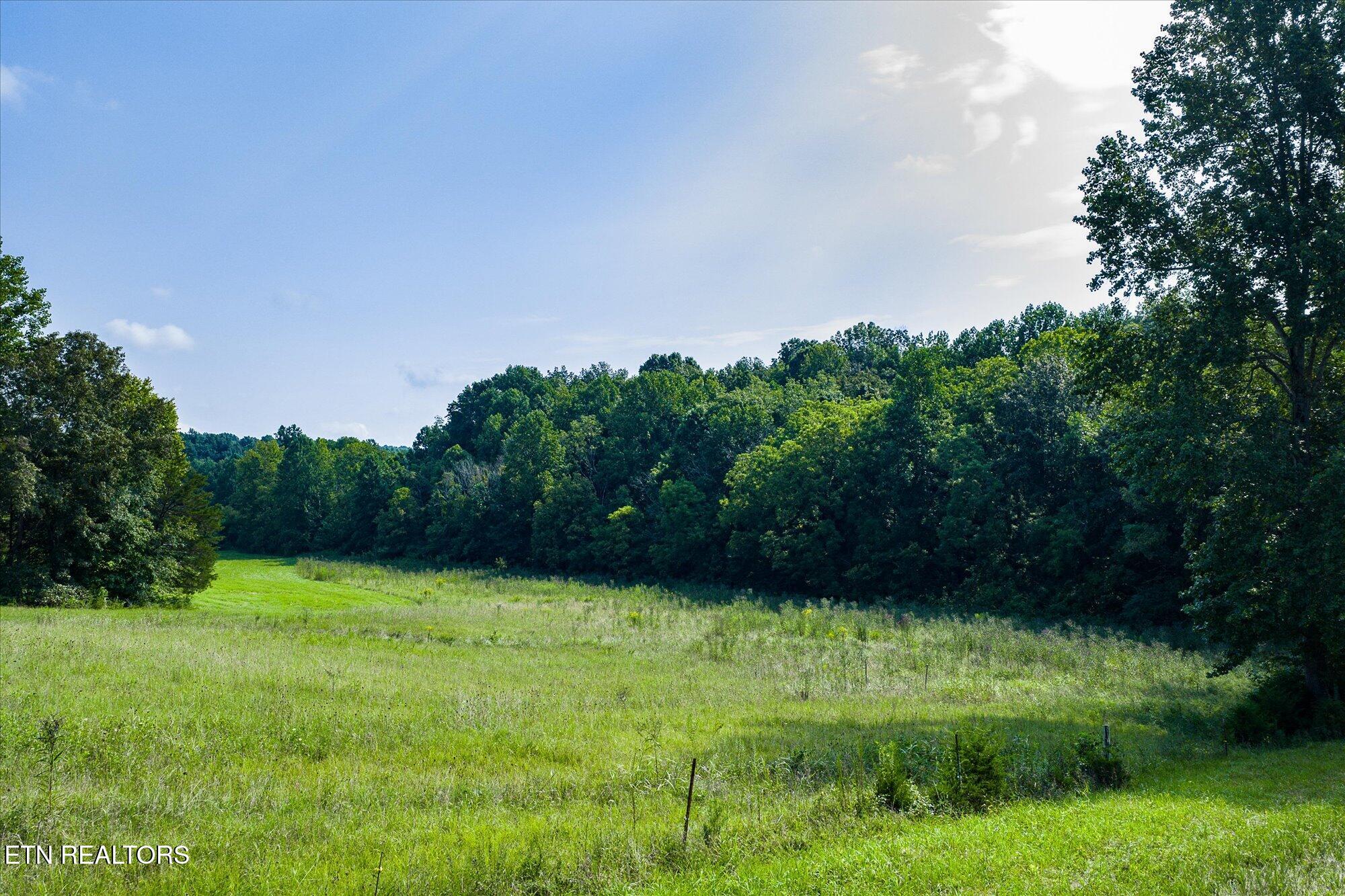 330 Griffintown Road Sparta, TN 38583 - Photo 11 of 42 08-330 Griffintown Rd_045_TNPC
