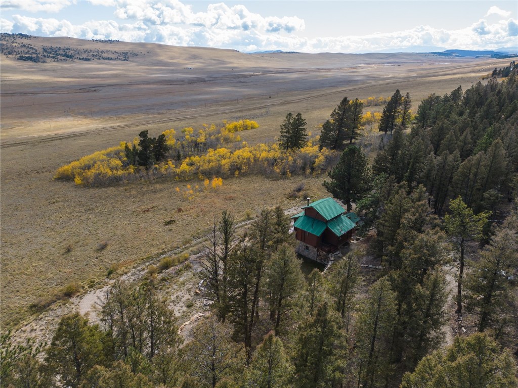 1830 Redhill Road Fairplay, CO 80440 - Photo 32 of 33 Gallery Image 32