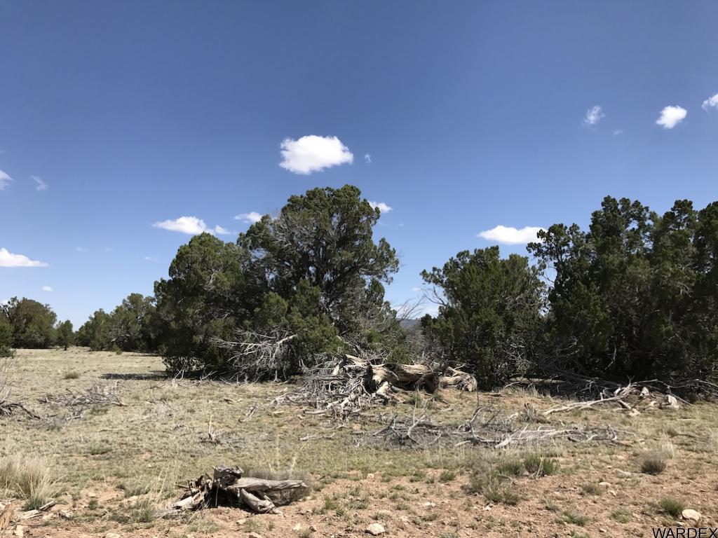 Lot 905 Sierra Verde Ranch Seligman, AZ 86337 - Photo 1 of 5 Primary Photo
