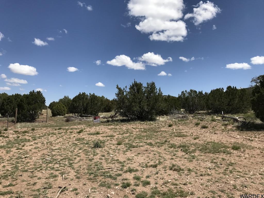 Lot 905 Sierra Verde Ranch Seligman, AZ 86337 - Photo 2 of 5 Additional Photo