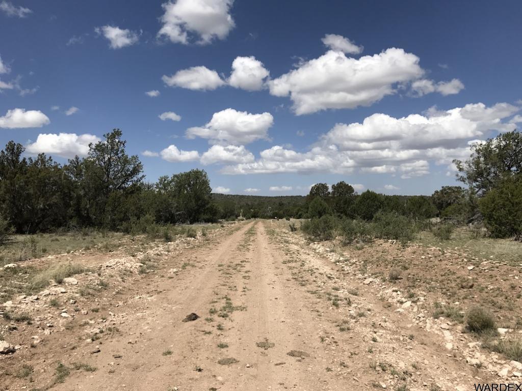 Lot 905 Sierra Verde Ranch Seligman, AZ 86337 - Photo 4 of 5 Additional Photo