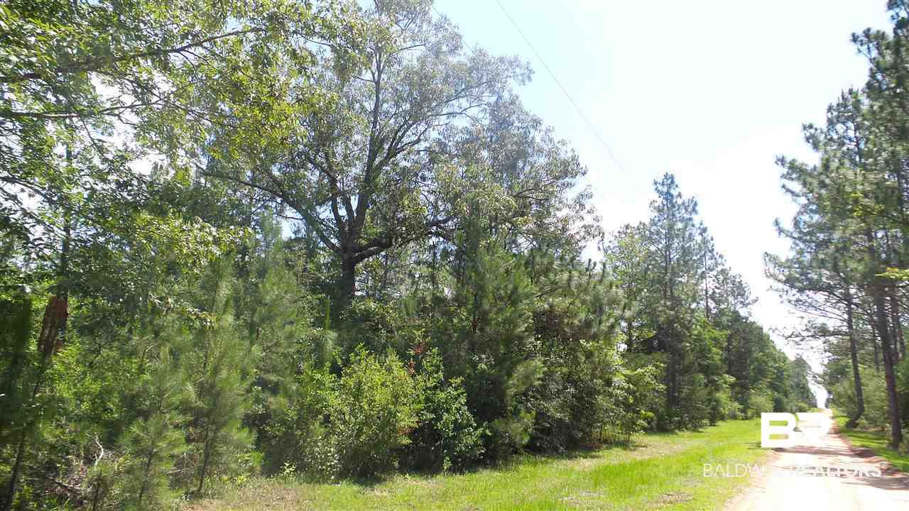 Deer Lake Road Walnut Hill, FL 32568 - Photo 7 of 22 Gallery Image 7