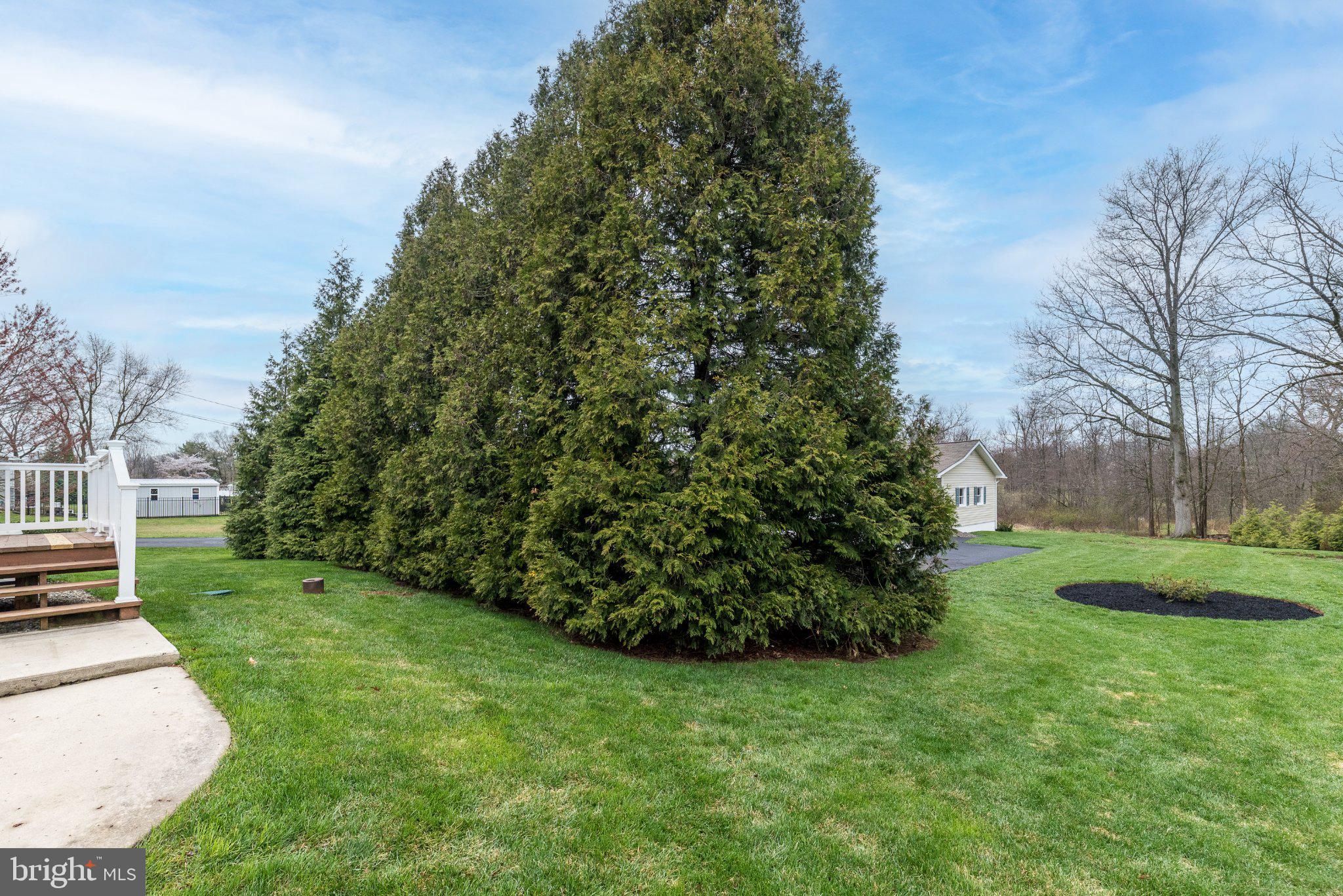3645-57 Applebutter Road Fountainville, PA 18923 - Photo 43 of 98 a view of a garden with a tree